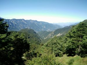 台中包車│台中包車自由行│台中包車一日遊,台中阿里山包車,台中阿里山包車旅遊,阿里山包車旅遊,阿里山包車