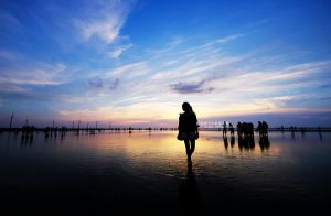 台中包車旅遊,台中包車一日遊,台中旅遊包車,高美濕地包車,高美濕地 包車旅遊,日月潭包車,日月潭包車旅遊,台中旅遊包車推薦