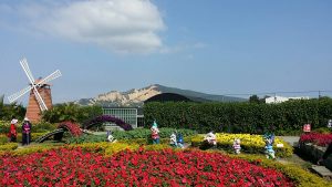 中社花海包車旅遊