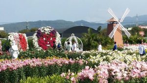 中社花海包車旅遊