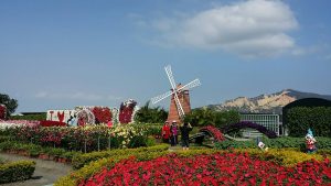 中社花海包車旅遊