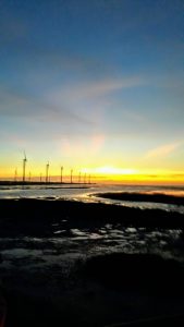 高美濕地包車旅遊