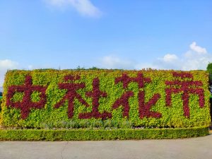 台中包車,台中包車旅遊,台中旅遊包車,台中旅遊包車推薦,台中包車自由行,台中機場機送,台中包車商務接送,台中包車飯店接送,台中包車行程推薦,台中包車價格,台中接送價格,台中一日遊價格