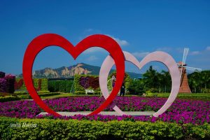 台中包車,台中包車旅遊,台中旅遊包車,台中旅遊包車推薦,台中包車自由行,台中機場機送,台中包車商務接送,台中包車飯店接送,台中包車行程推薦,台中包車價格,台中接送價格,台中一日遊價格