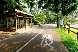 台中包車,台中包車旅遊,台中旅遊包車,台中旅遊包車推薦,台中包車自由行,台中機場機送,台中包車商務接送,台中包車飯店接送,台中包車行程推薦,台中包車價格,台中接送價格,台中一日遊價格